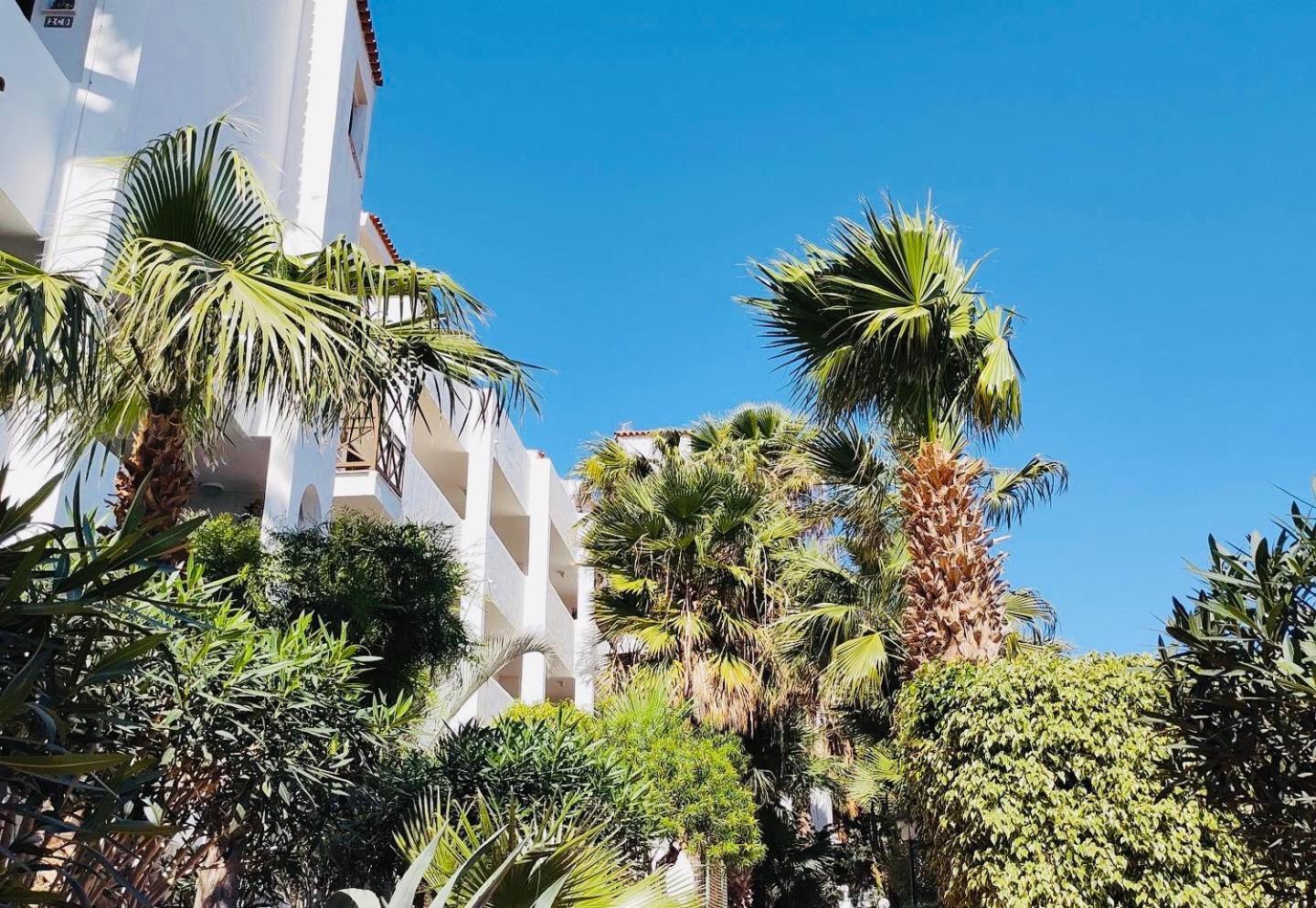 Amarilla Golf Διαμέρισμα Σαν Μιγκέλ ντε Αμπόνα Εξωτερικό φωτογραφία