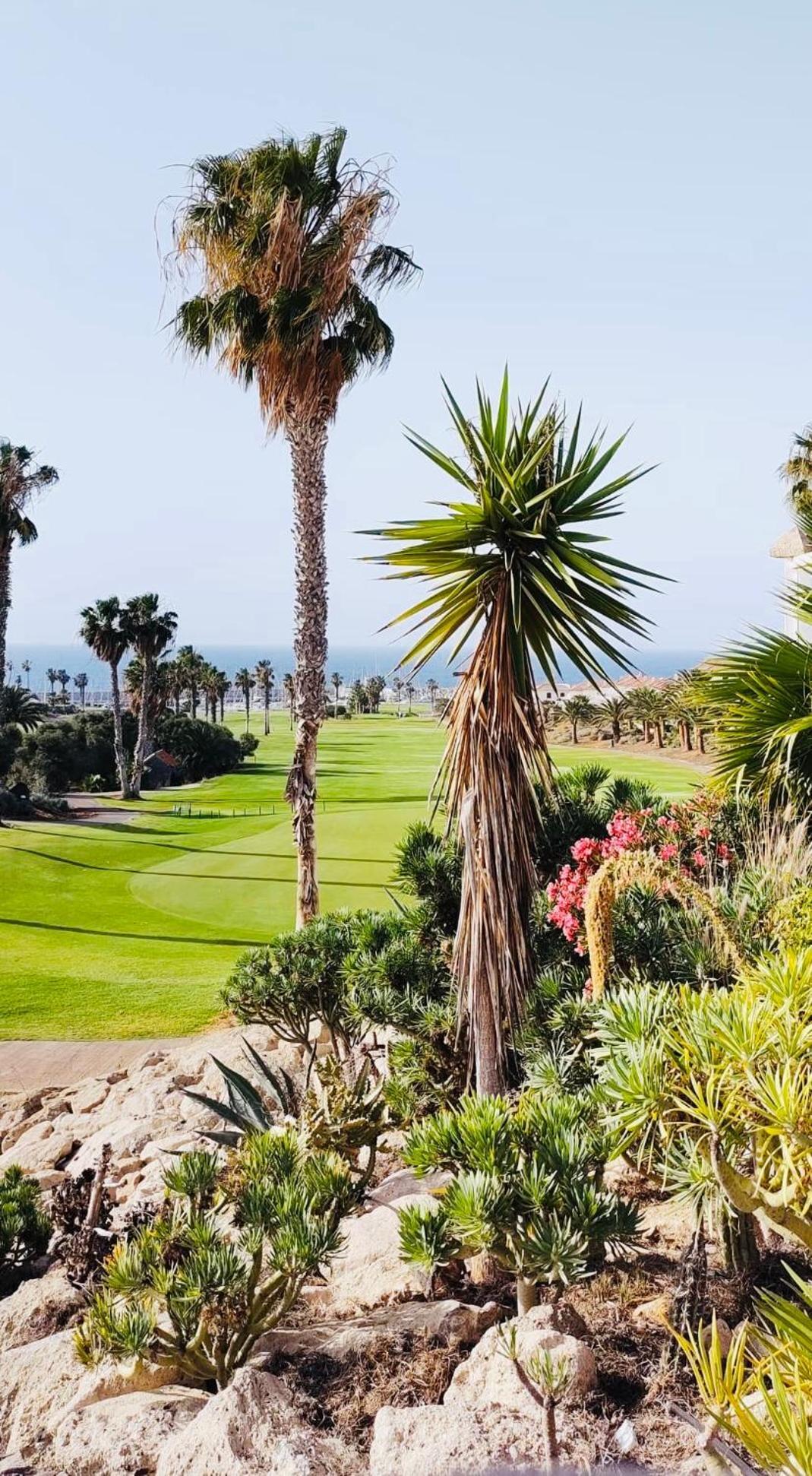 Amarilla Golf Διαμέρισμα Σαν Μιγκέλ ντε Αμπόνα Εξωτερικό φωτογραφία